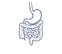 Troubles digestifs